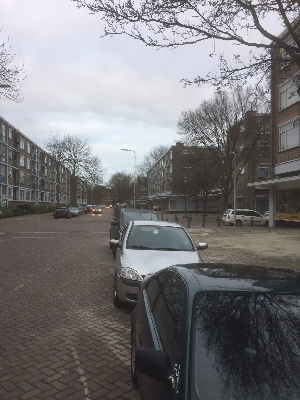 Afbeelding 3 van 5