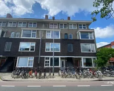 Afbeelding 1 van 8