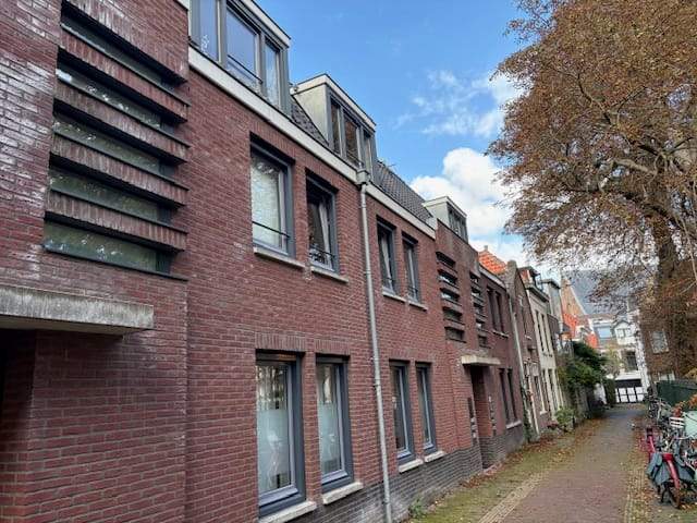 Afbeelding 1 van 19