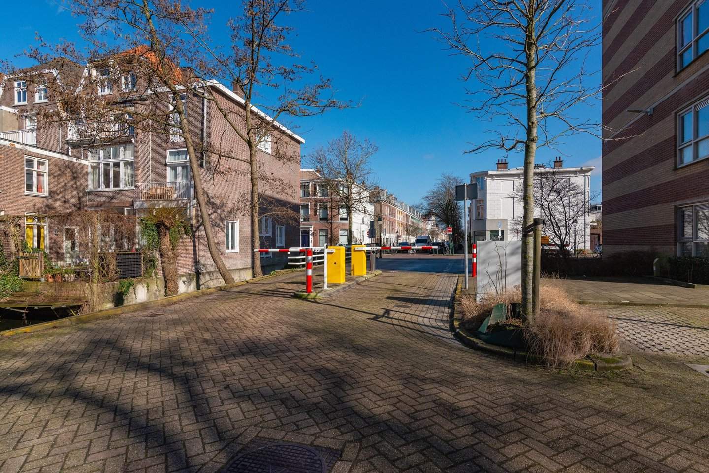 Afbeelding 2 van 10