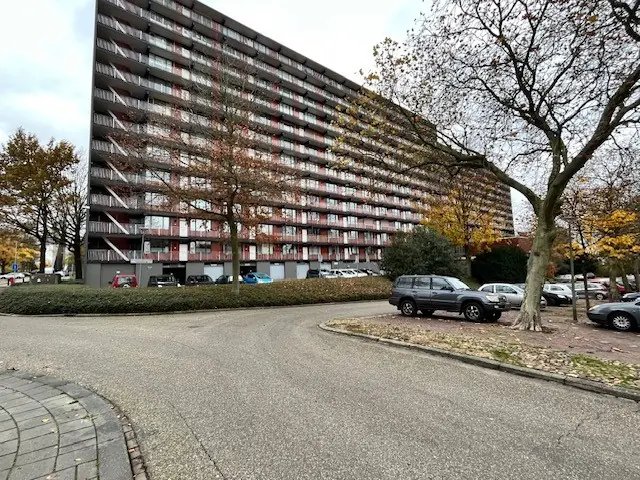 Image 2 sur 3