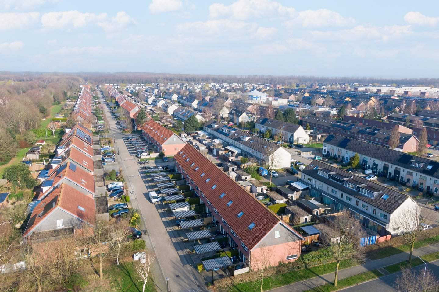 Afbeelding 3 van 12