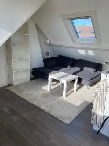 Gemeubileerde kamer Amsterdamsestraatweg, Utrecht - Te Huur
