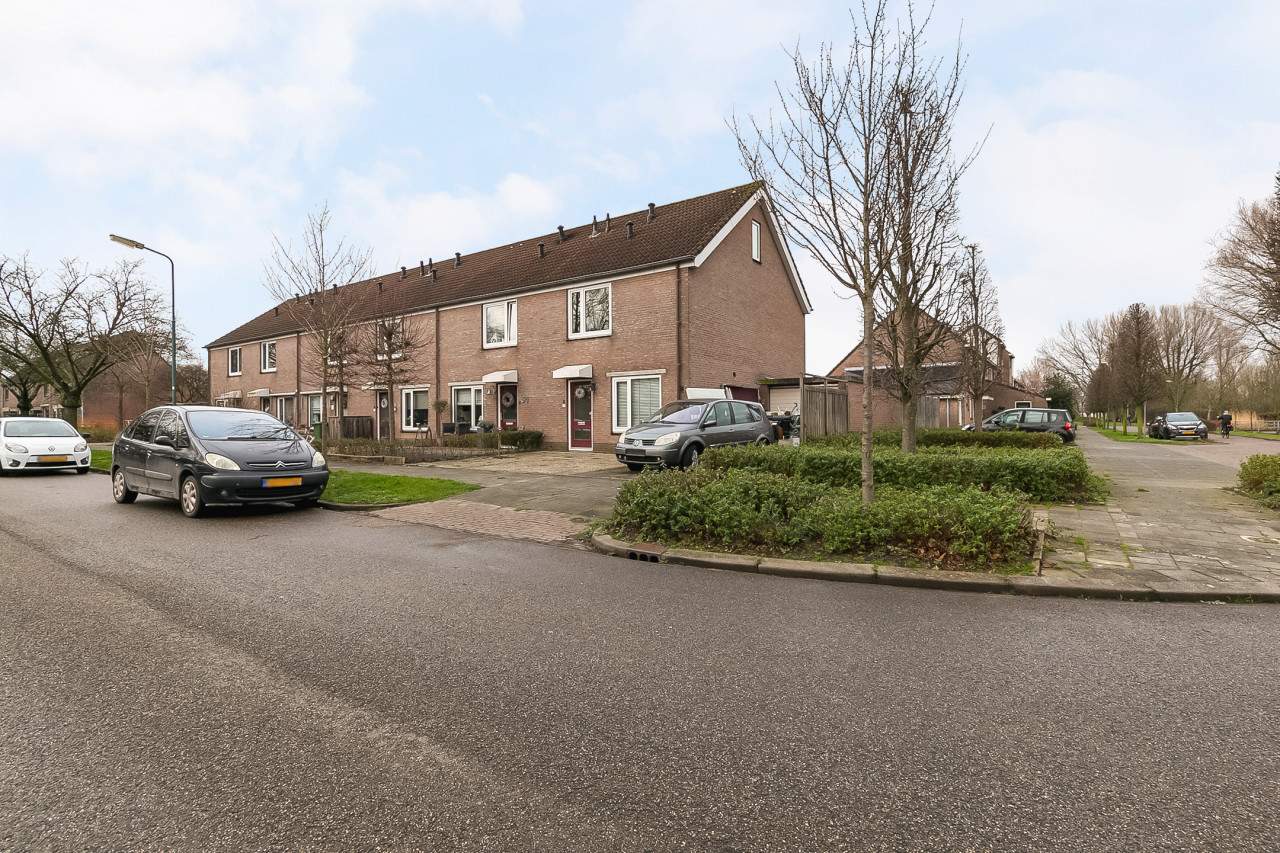 Afbeelding 2 van 9