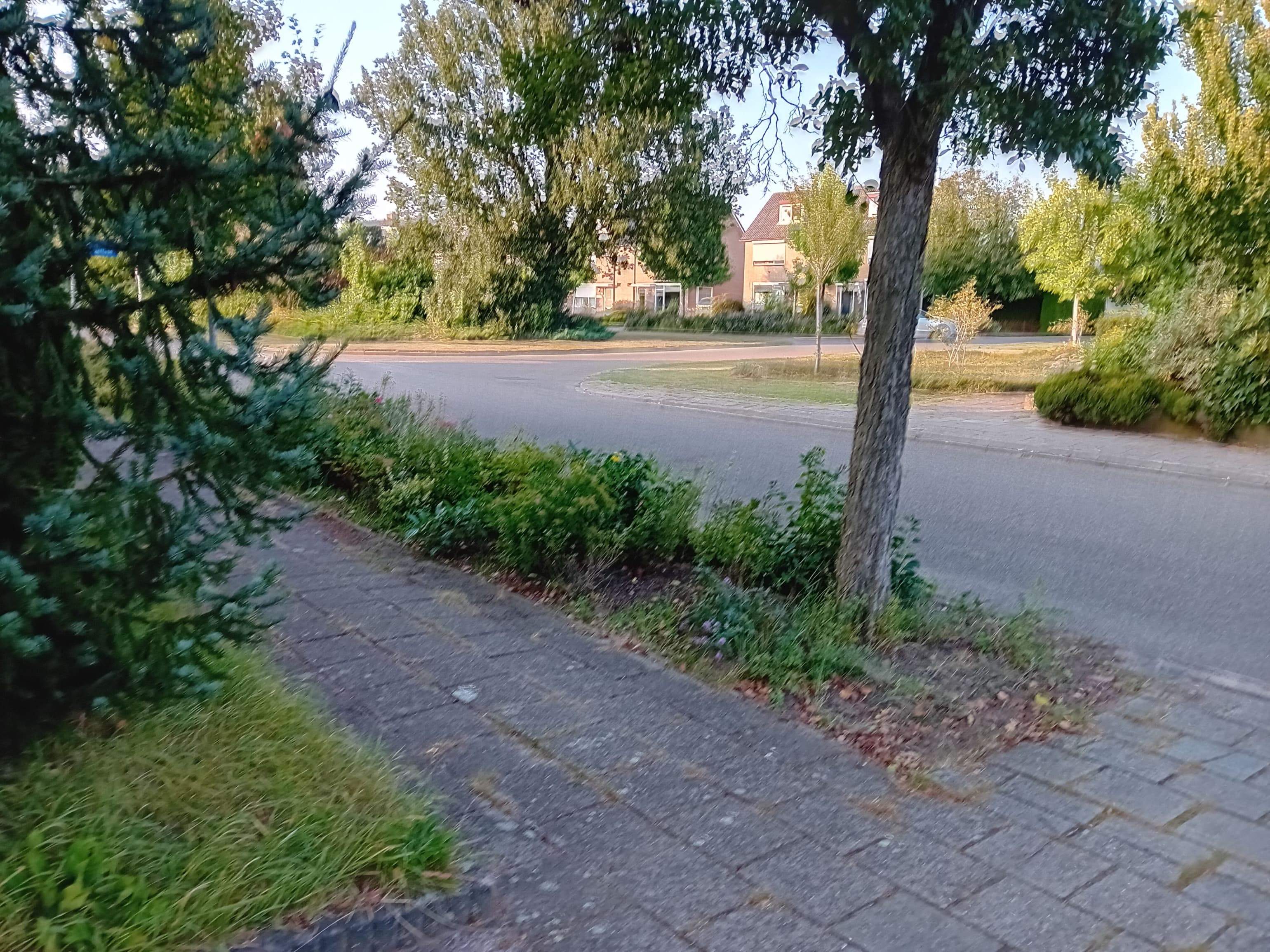 Bild 10 von 10
