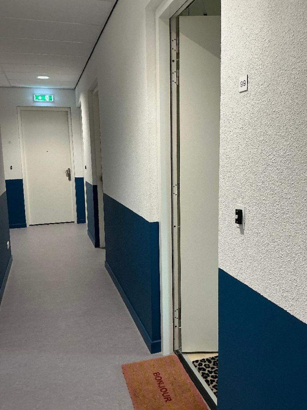 Afbeelding 4 van 9