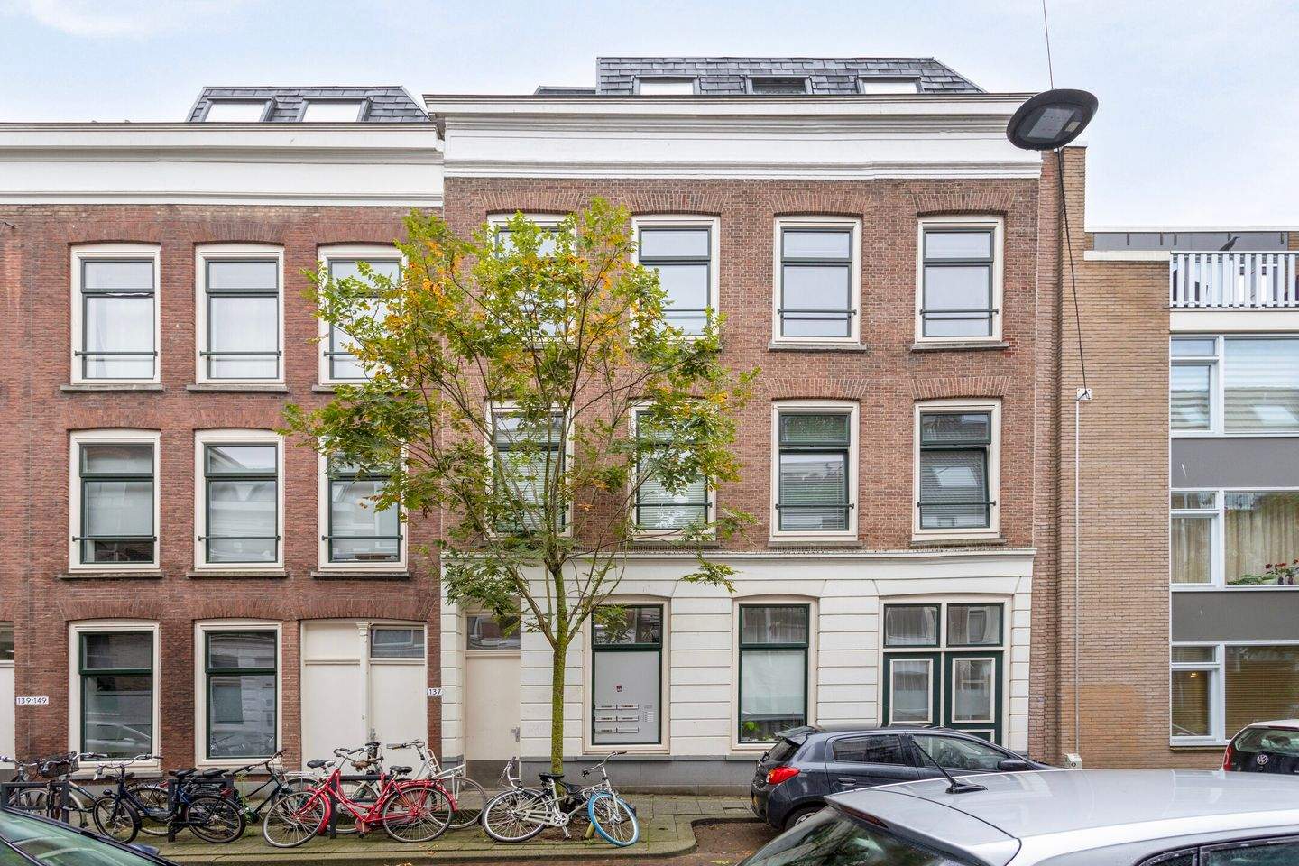 Afbeelding 1 van 12