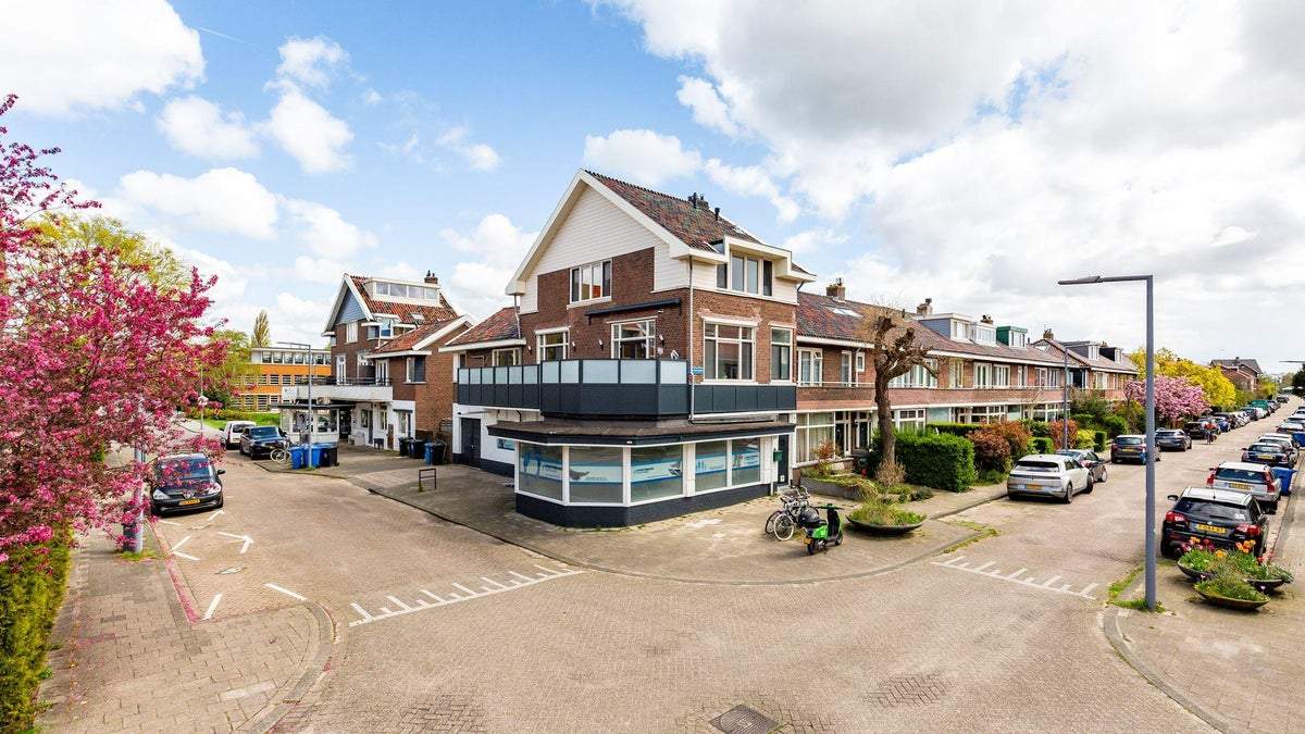 Afbeelding 1 van 20