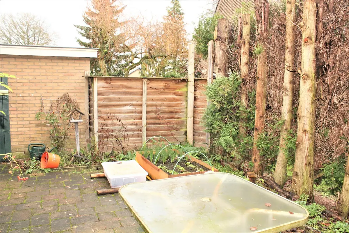 Afbeelding 15 van 16