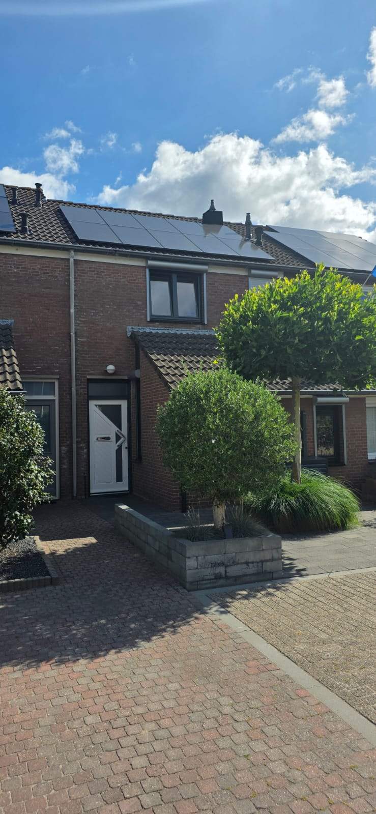 Afbeelding 1 van 36