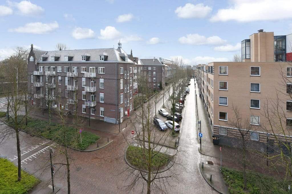 Afbeelding 6 van 12