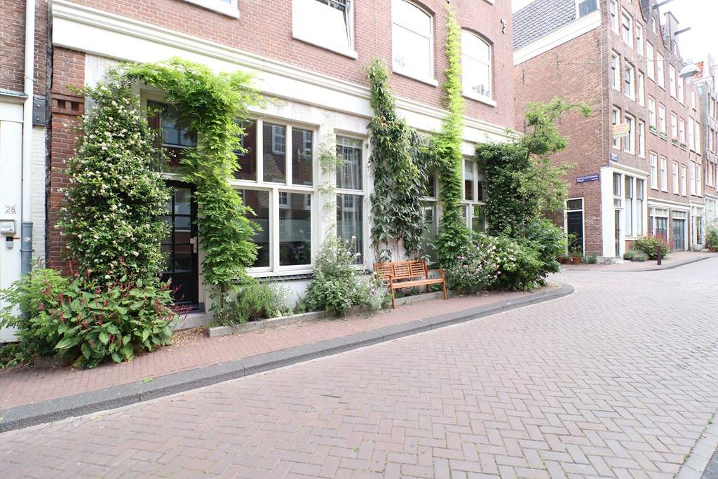Afbeelding 1 van 35