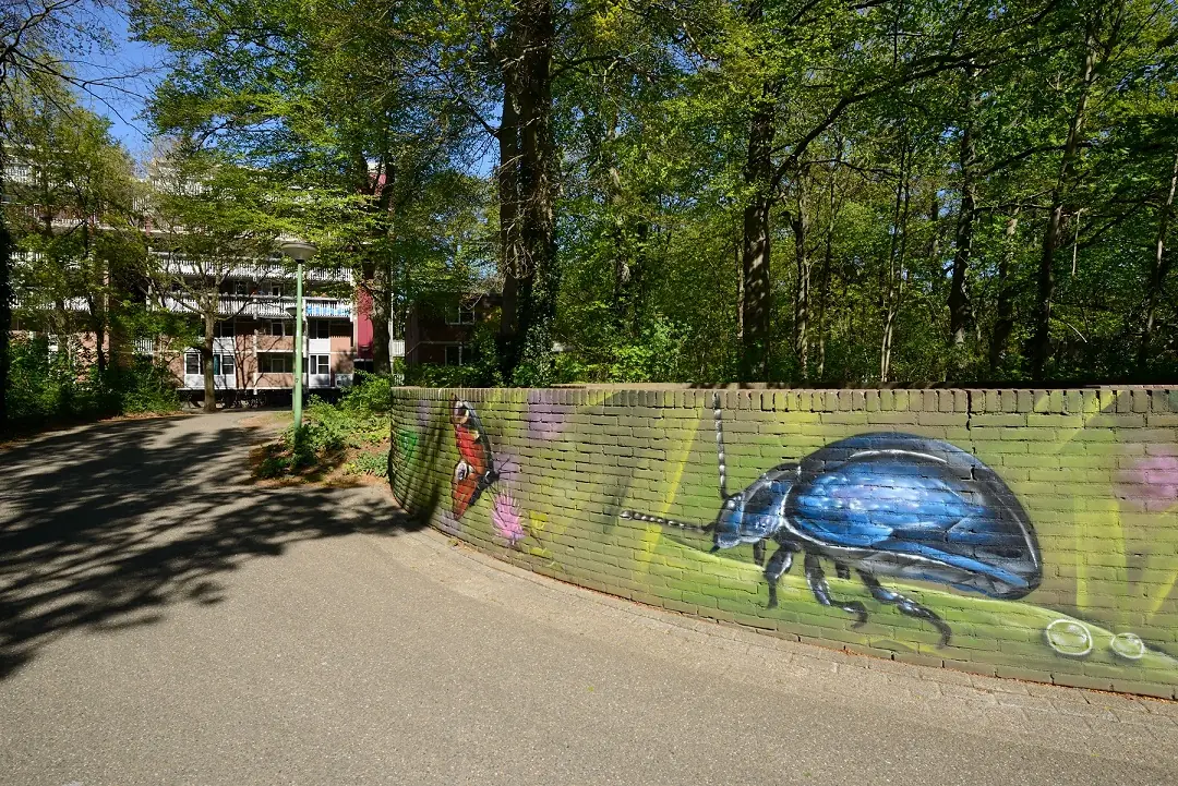 Image 1 of 2