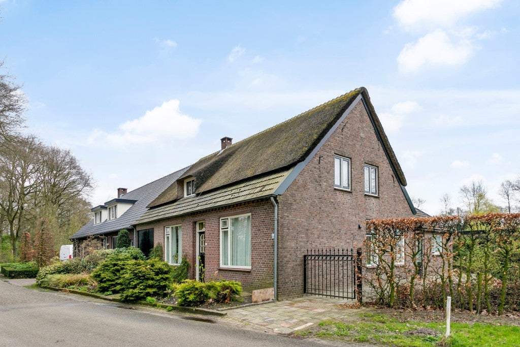 Afbeelding 1 van 22