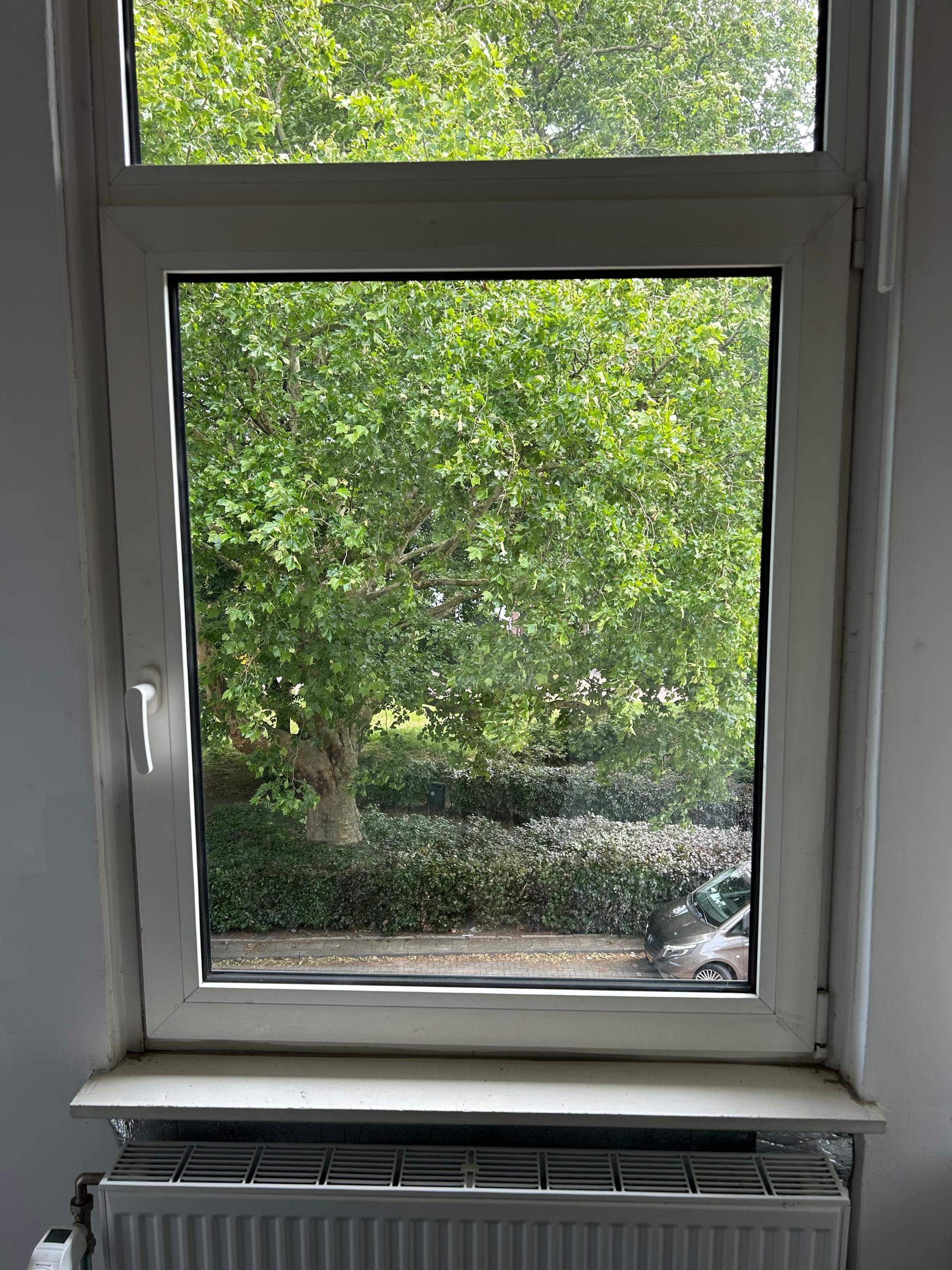 Image 2 of 5