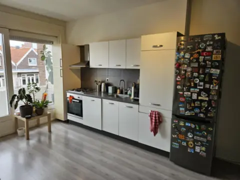 Gemeubileerde kamer Mijnsherenlaan, Rotterdam - Te huur