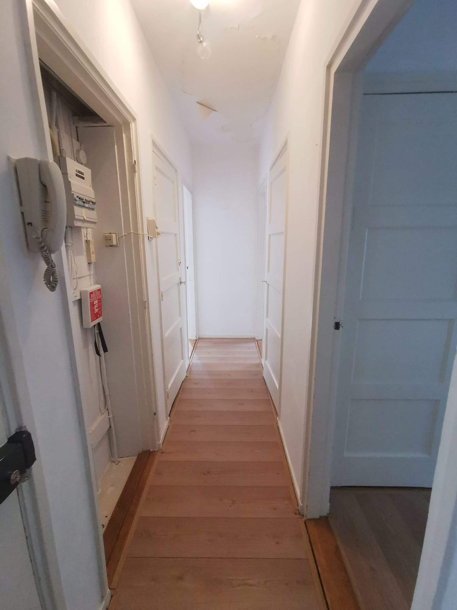 Image 7 of 14