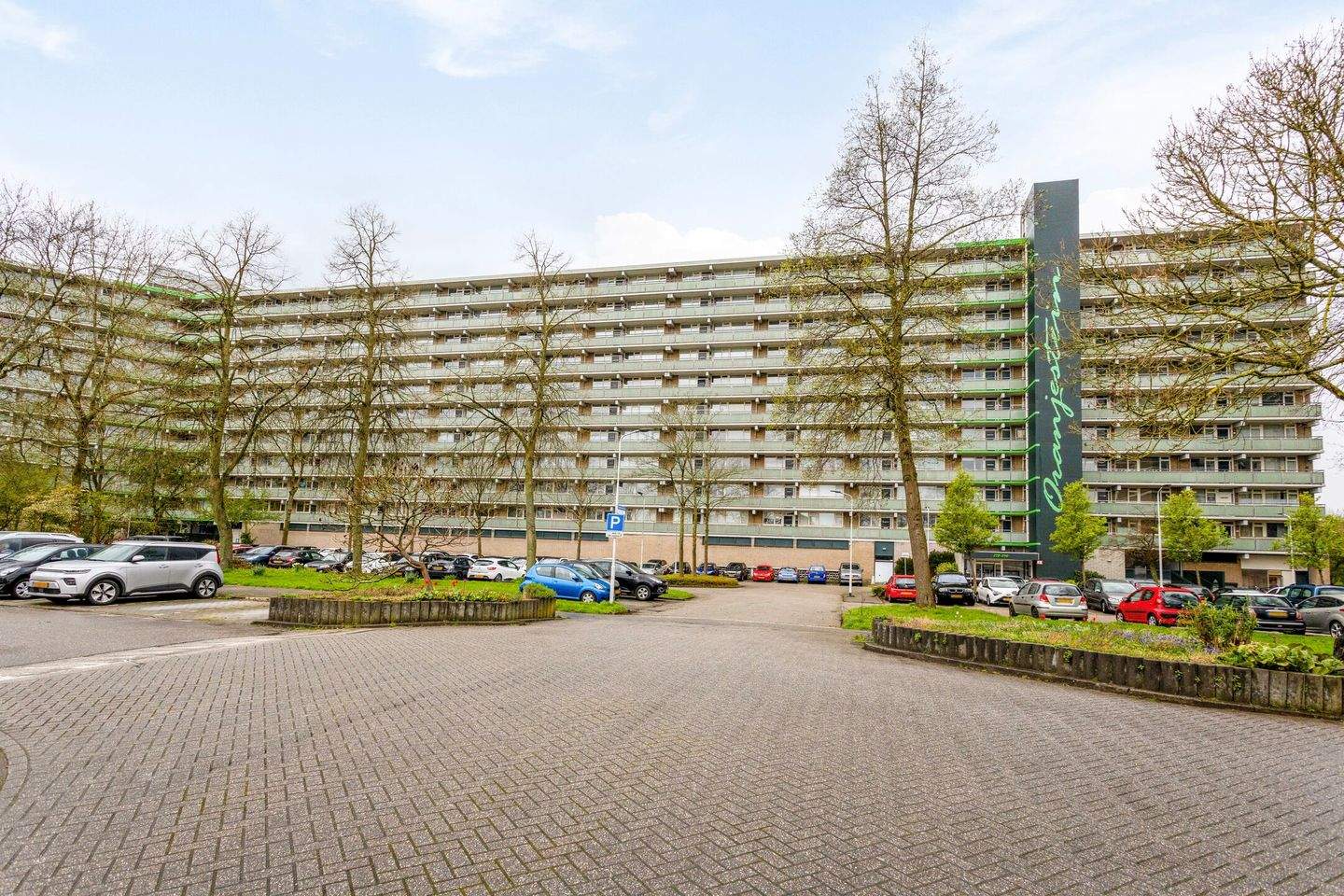 Afbeelding 1 van 12
