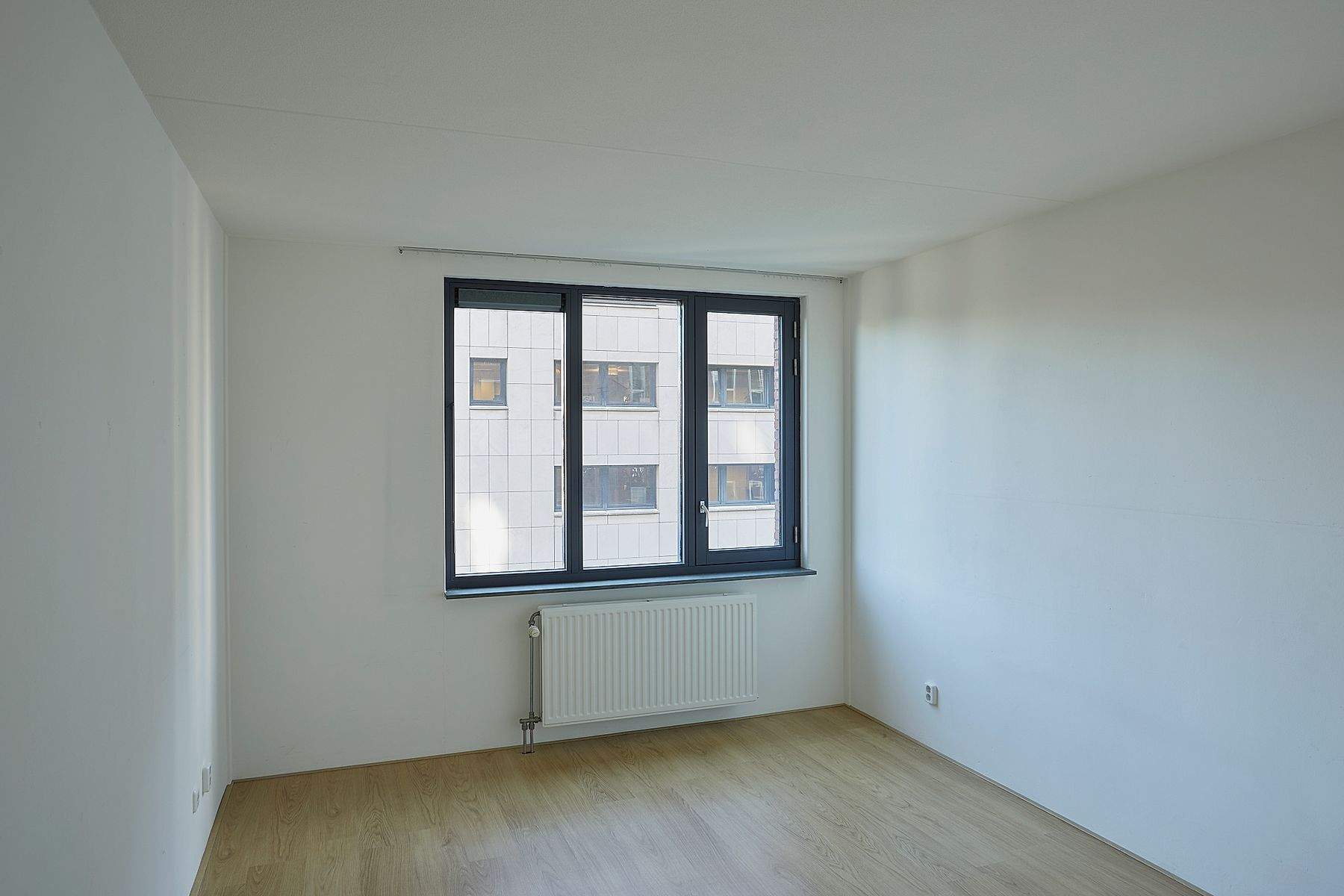 Image 5 of 8