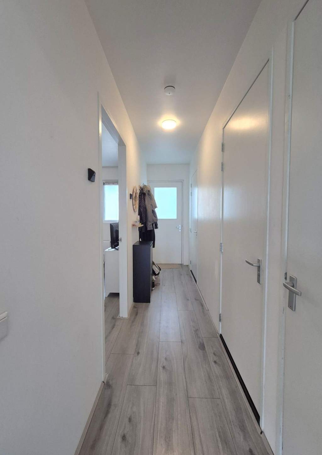 Bild 11 von 22