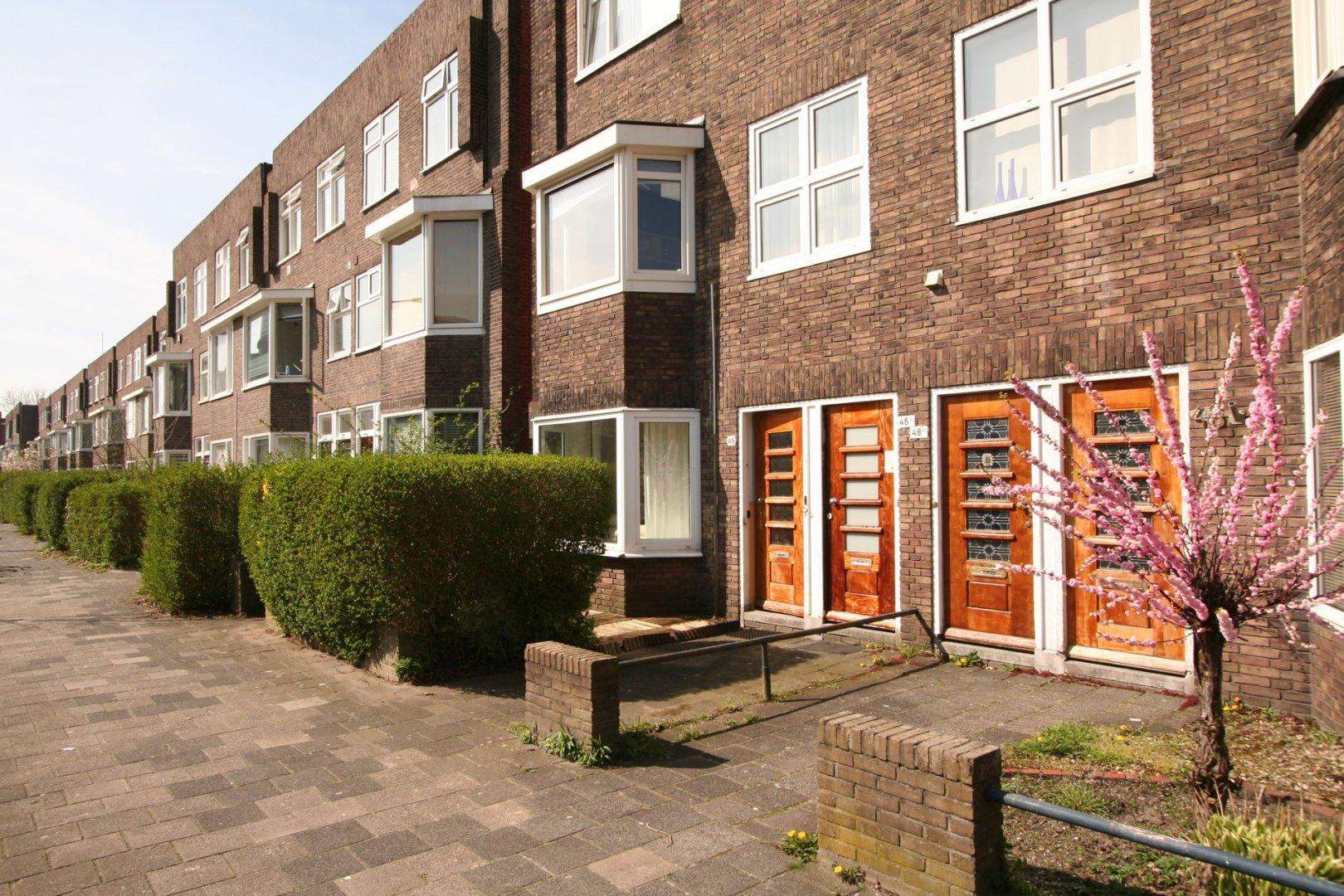Afbeelding 3 van 3
