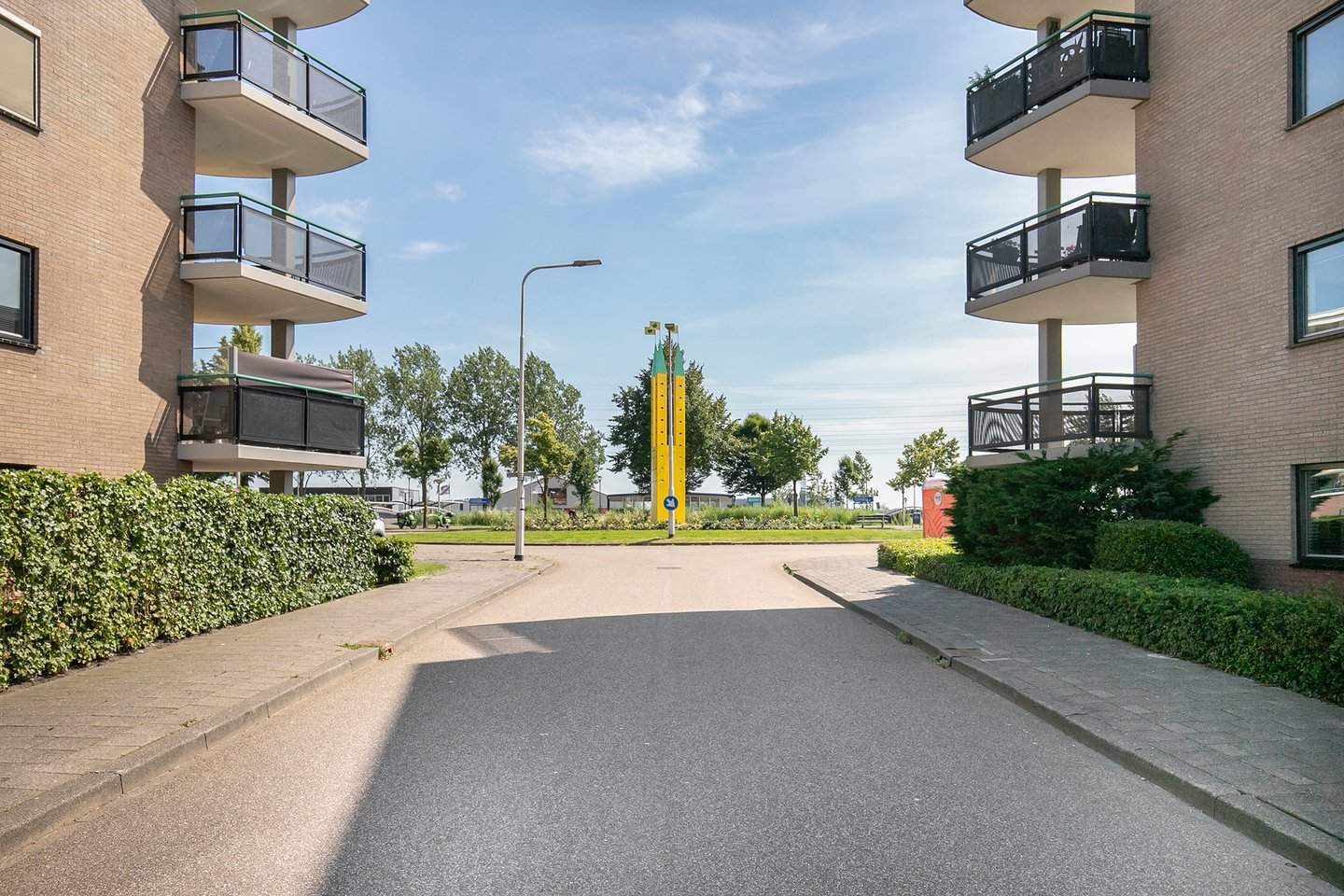 Afbeelding 3 van 12