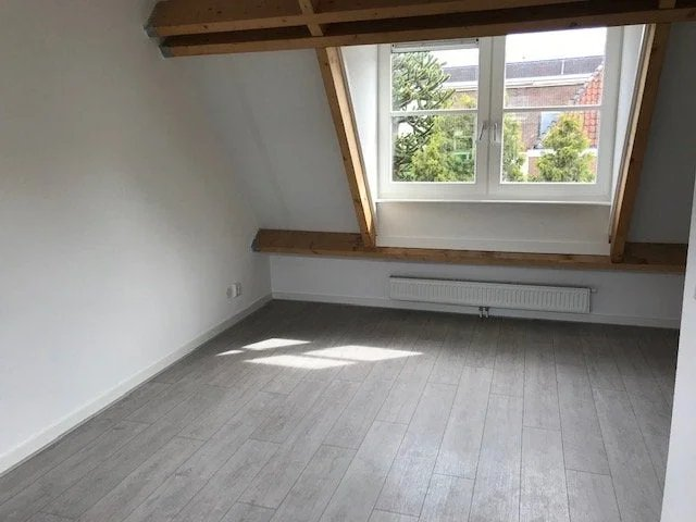 Image 3 of 12
