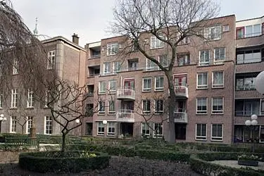 Afbeelding 5 van 5