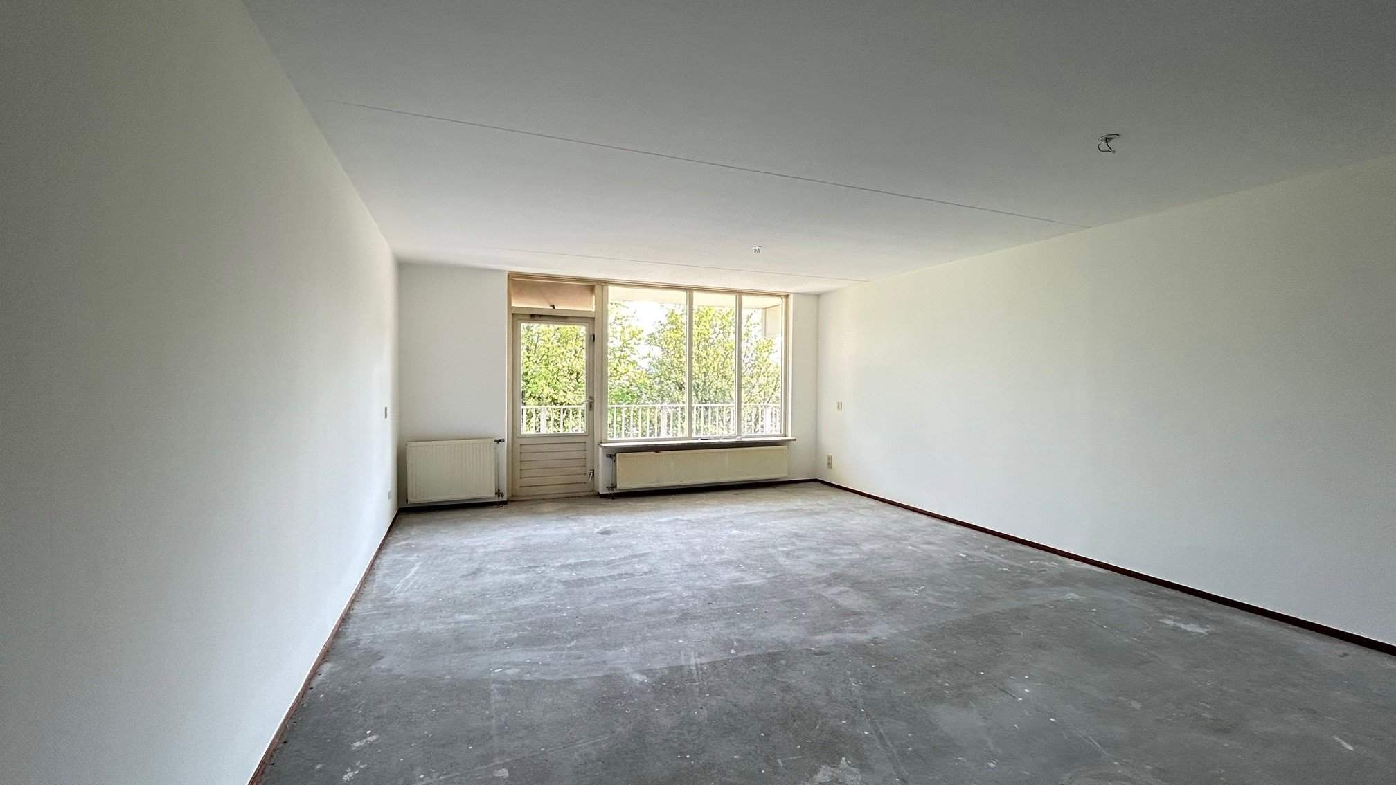Image 8 of 25