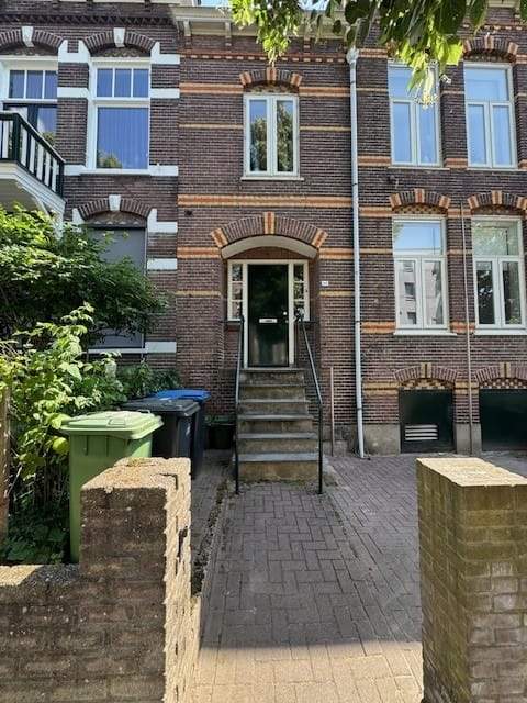 Afbeelding 1 van 12