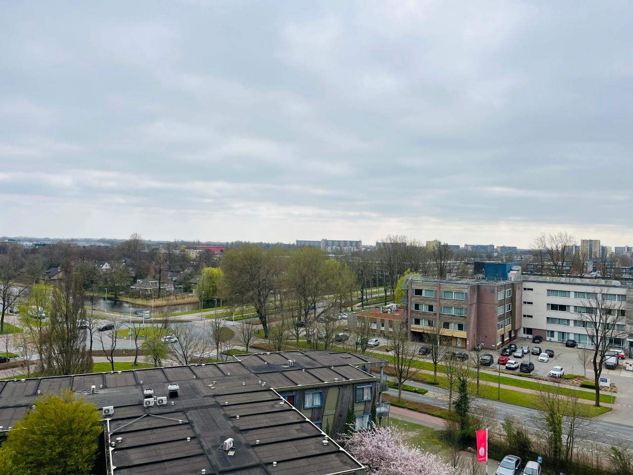 Afbeelding 8 van 9