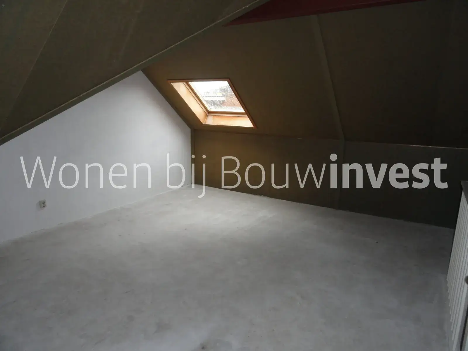 Image 7 of 8