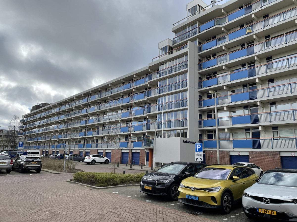 Afbeelding 2 van 35