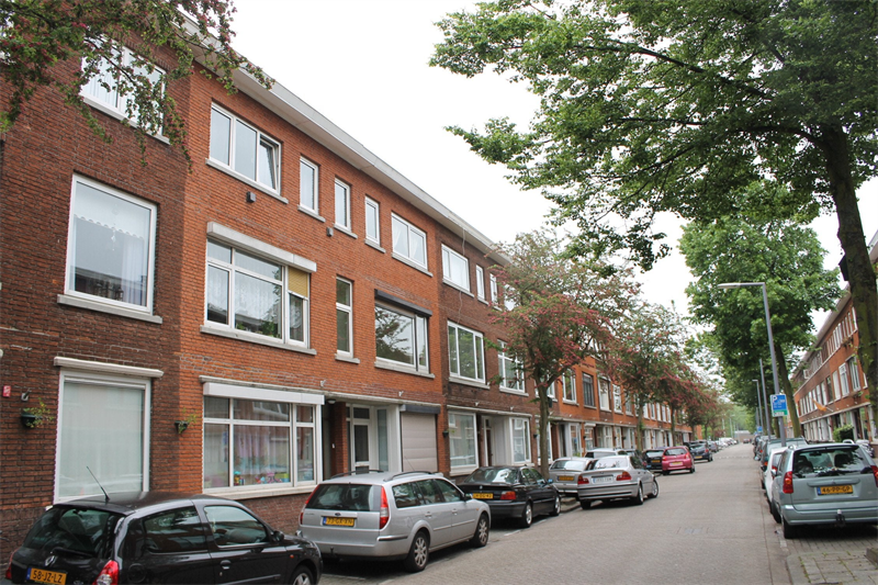 Afbeelding 1 van 1