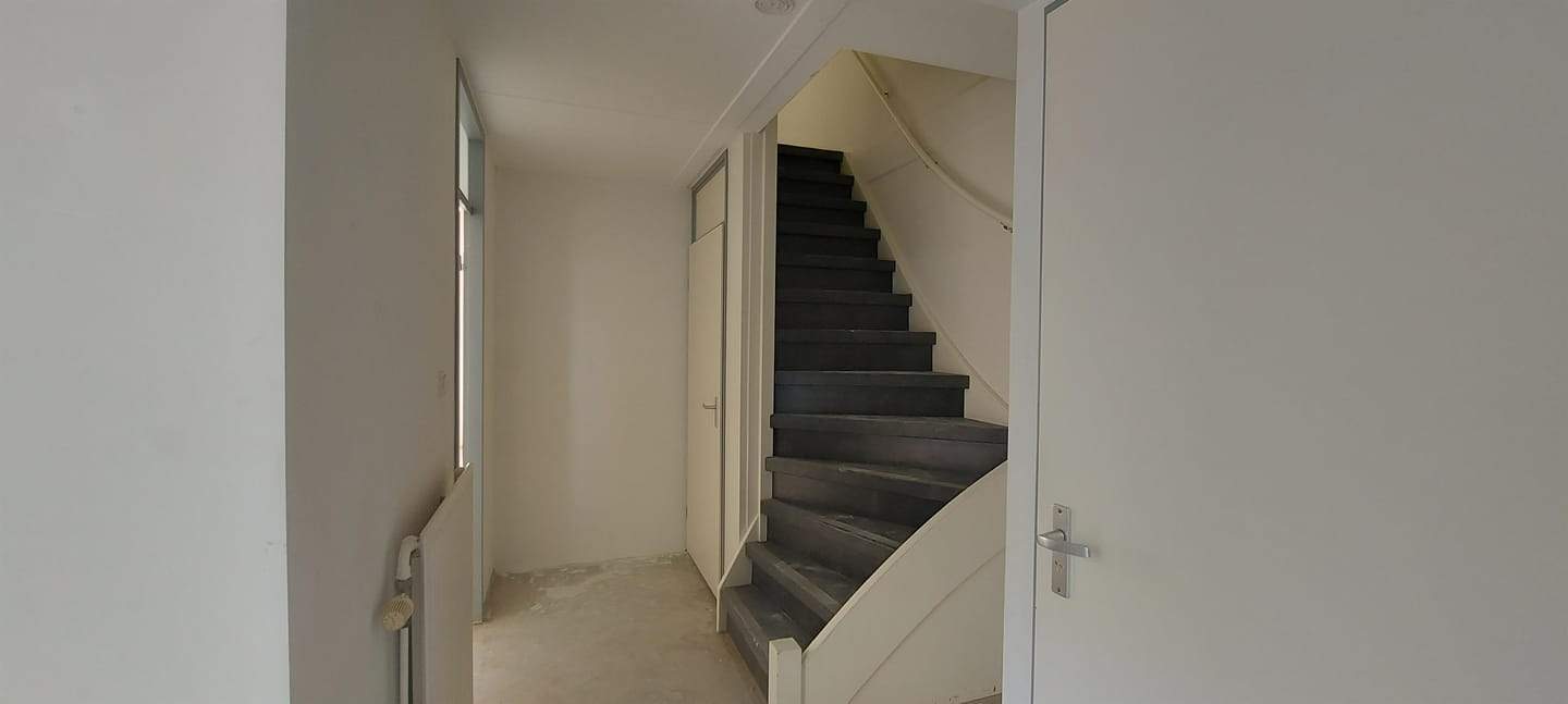 Bild 2 von 12