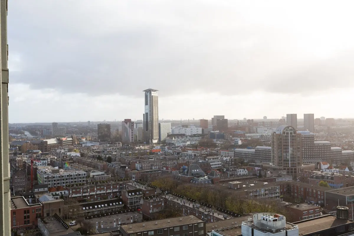 Image 15 of 15