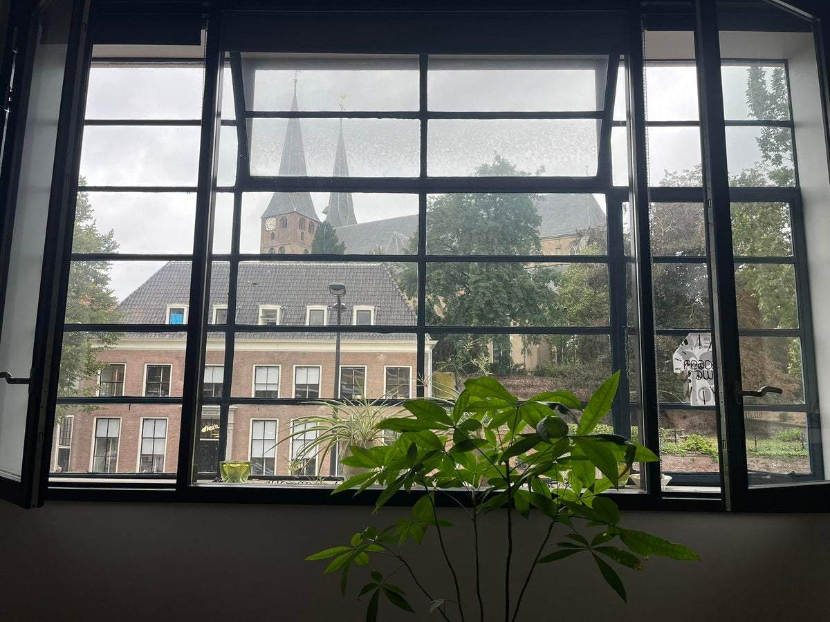 Afbeelding 2 van 6