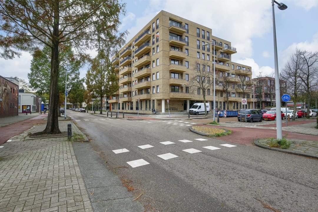 Afbeelding 8 van 15