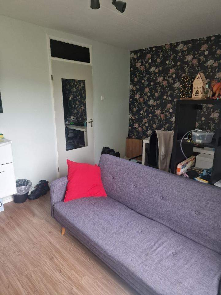 Bild 3 von 4