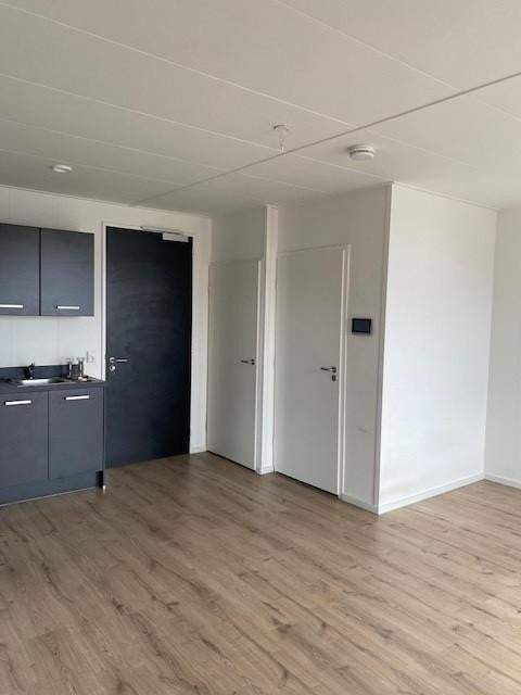 Bild 2 von 8