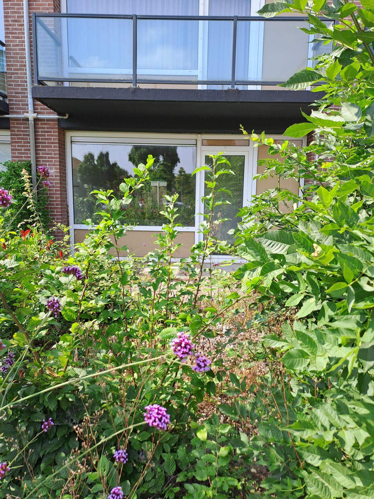 Bild 4 von 9
