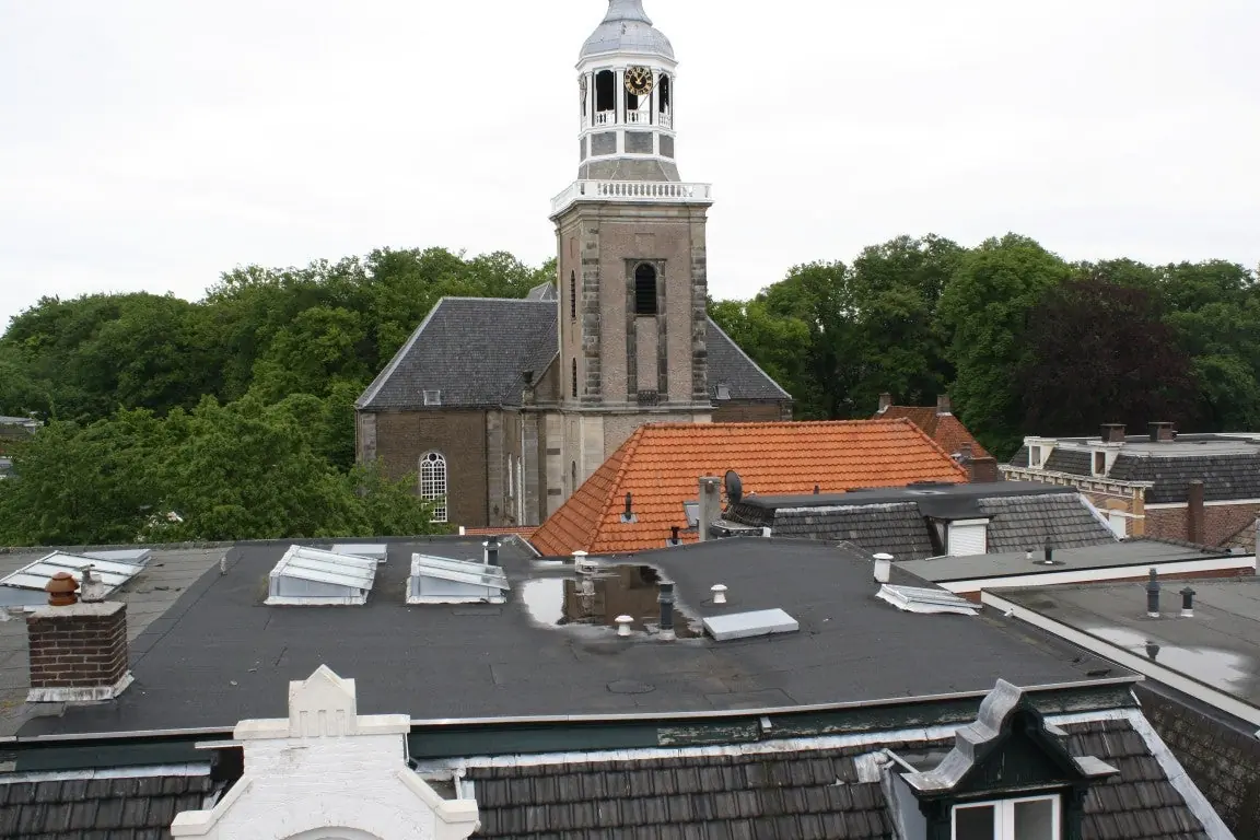 Image 13 of 13