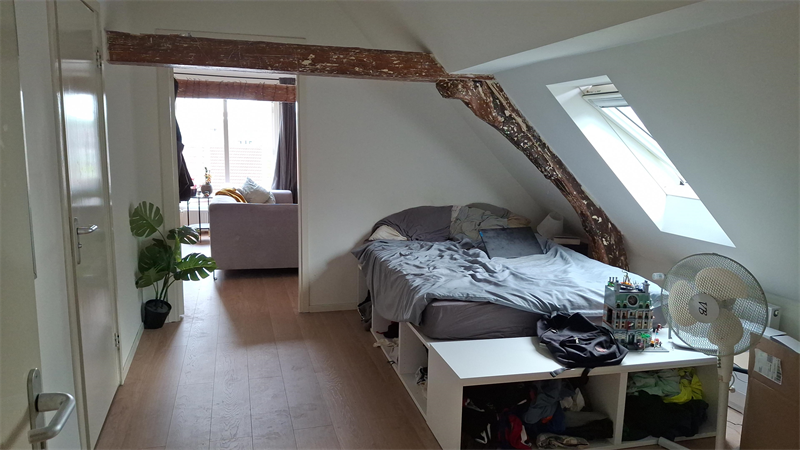 Bild 3 von 8