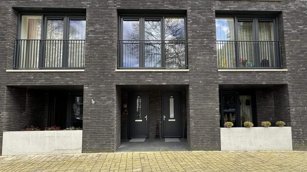 Afbeelding 3 van 19