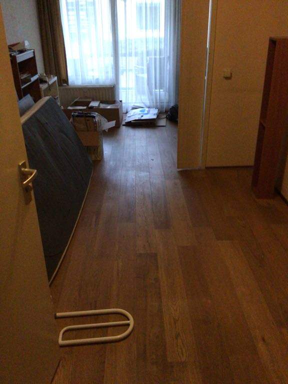 Bild 8 von 14