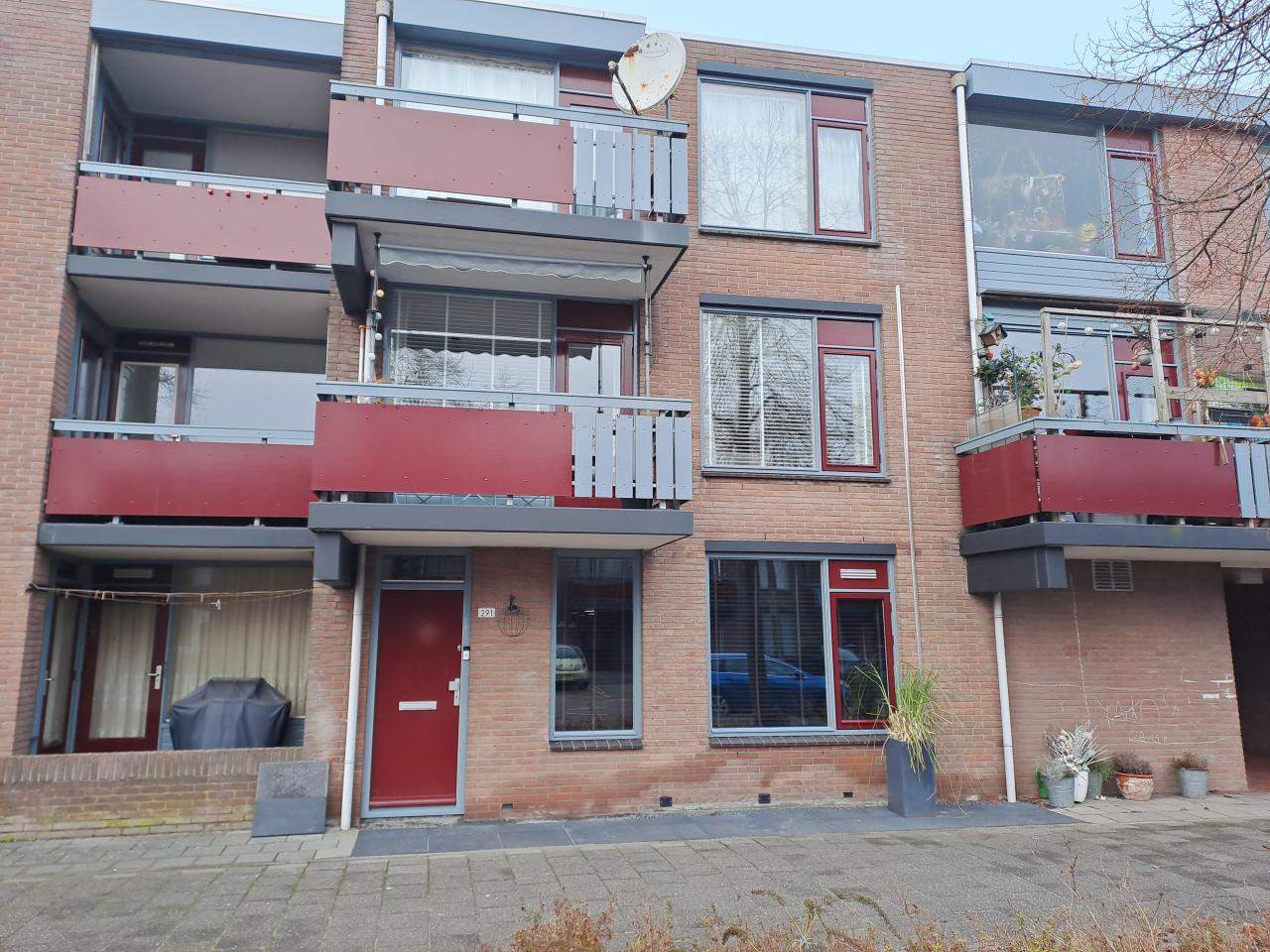 Afbeelding 8 van 9