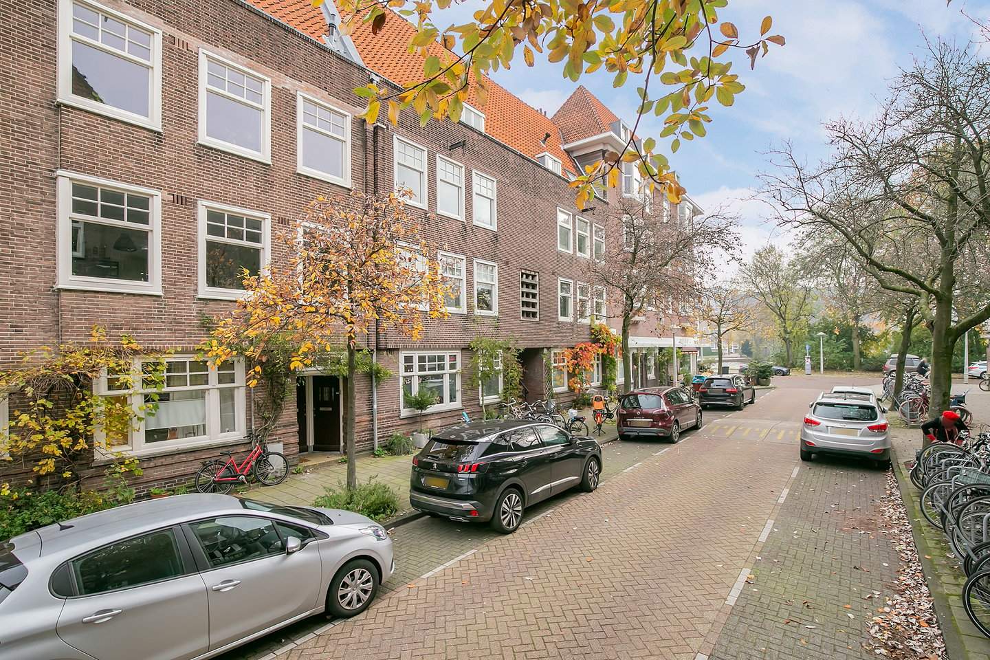 Afbeelding 2 van 12