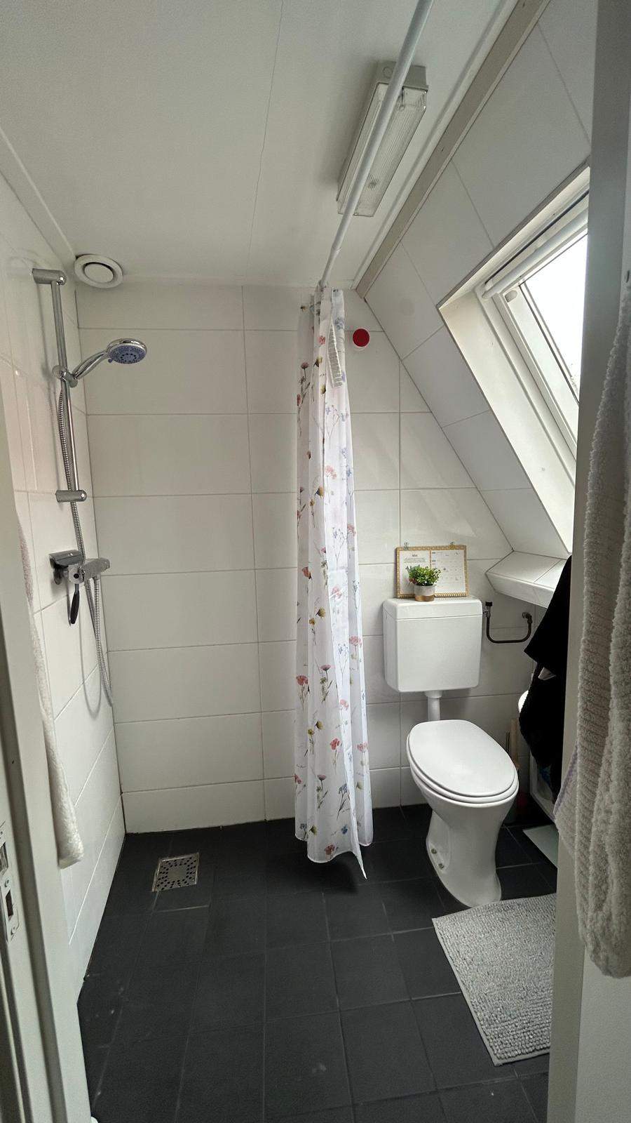 Bild 2 von 5