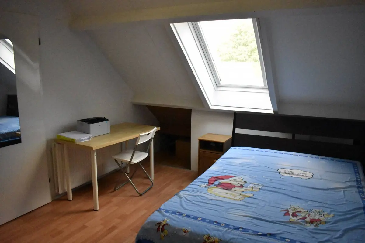 Bild 4 von 19