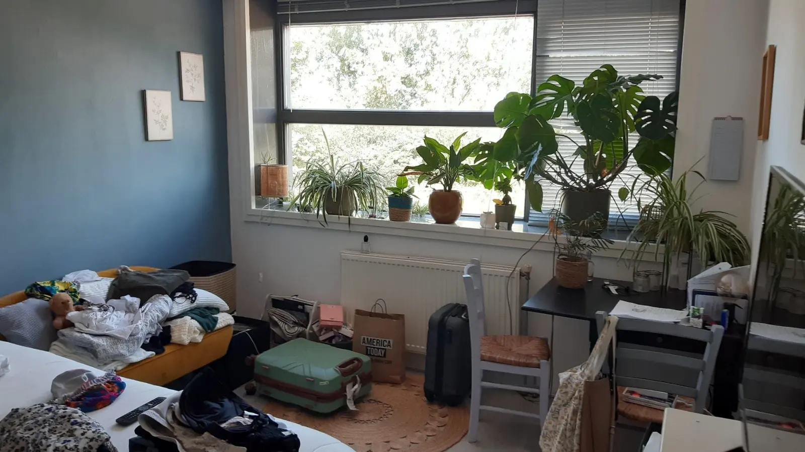 Image 4 of 10